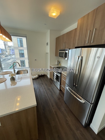 South End Amazing Luxurious 2 bed apartment in Harrison St Boston - $5,172