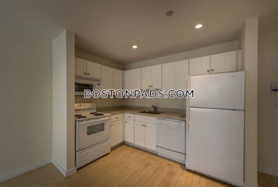 Downtown 1 Bed, 1 Bath Unit Boston - $3,000