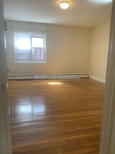 Brighton 2 Bed 1 Bath BOSTON Boston - $2,960