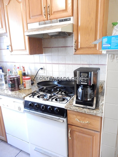 Allston/brighton Border Apartment for rent 1 Bedroom 1 Bath Boston - $2,150