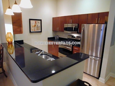 Dorchester Luxury Condo's converted for rentals.   Boston - $2,625