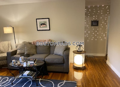 Brighton Apartment for rent 2 Bedrooms 1 Bath Boston - $2,990