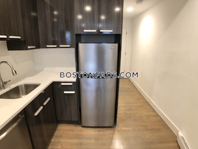 West End Apartment for rent 2 Bedrooms 1 Bath Boston - $3,900