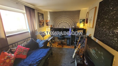 Allston 2 Beds 1 Bath Boston - $2,735 50% Fee