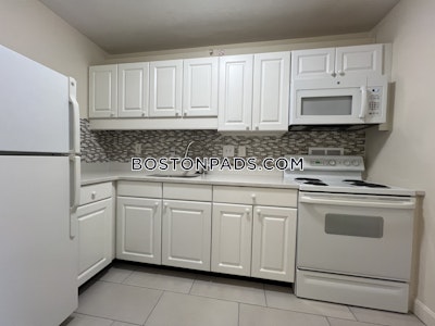 Brookline Apartment for rent 2 Bedrooms 2 Baths  Boston University - $3,750 50% Fee